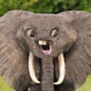 Meet your Posher, Mae